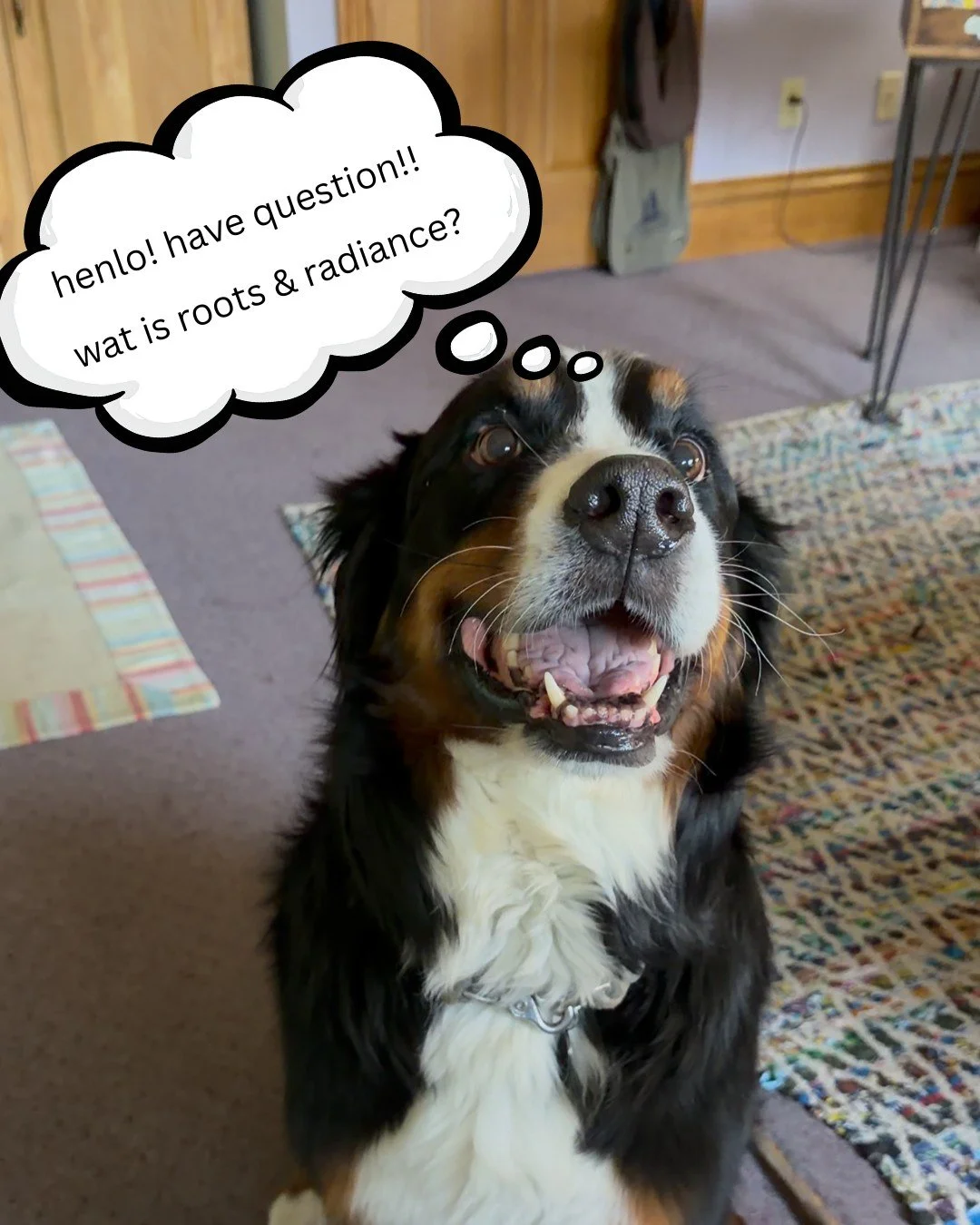 Penny's here asking all the important questions... 👀 

🌳Roots &amp; Radiance: 25yrs Celebrating Arts in Our Community, May 15th, 2026.✨️ 

🤩 What's so special about this event? 25 years is a huge milestone that we are grateful to make it to! This 