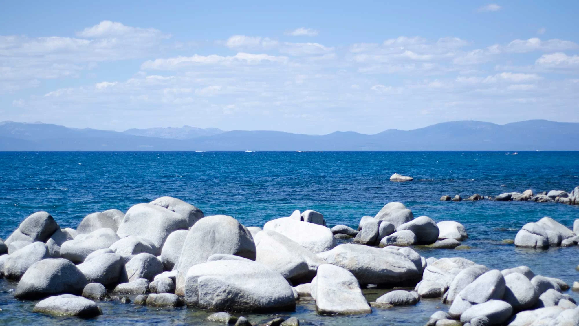 Lake Tahoe and lots of love