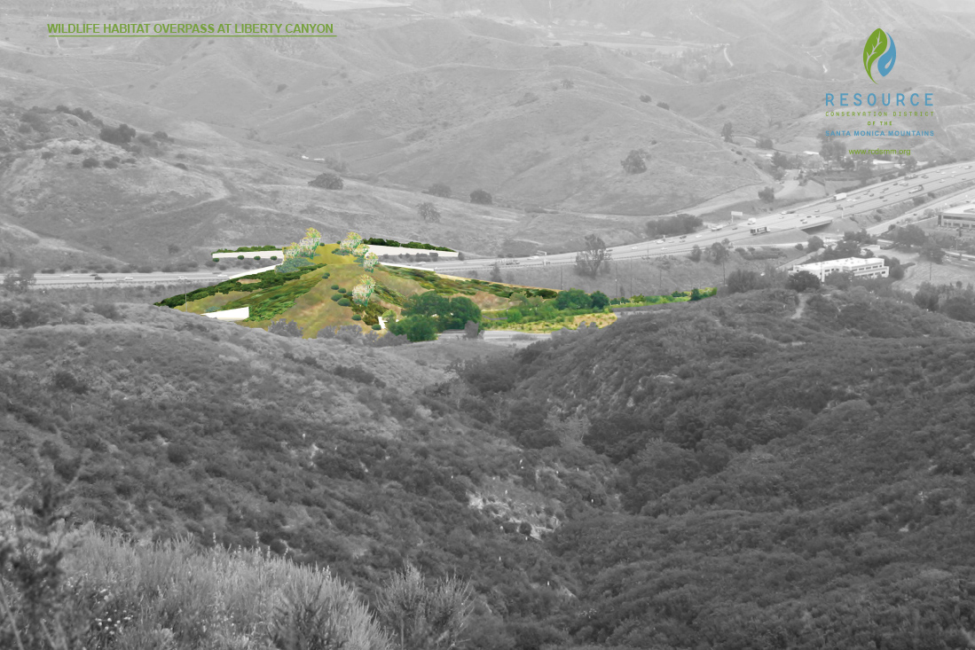 A rendering of the overpass from a different viewpoint.