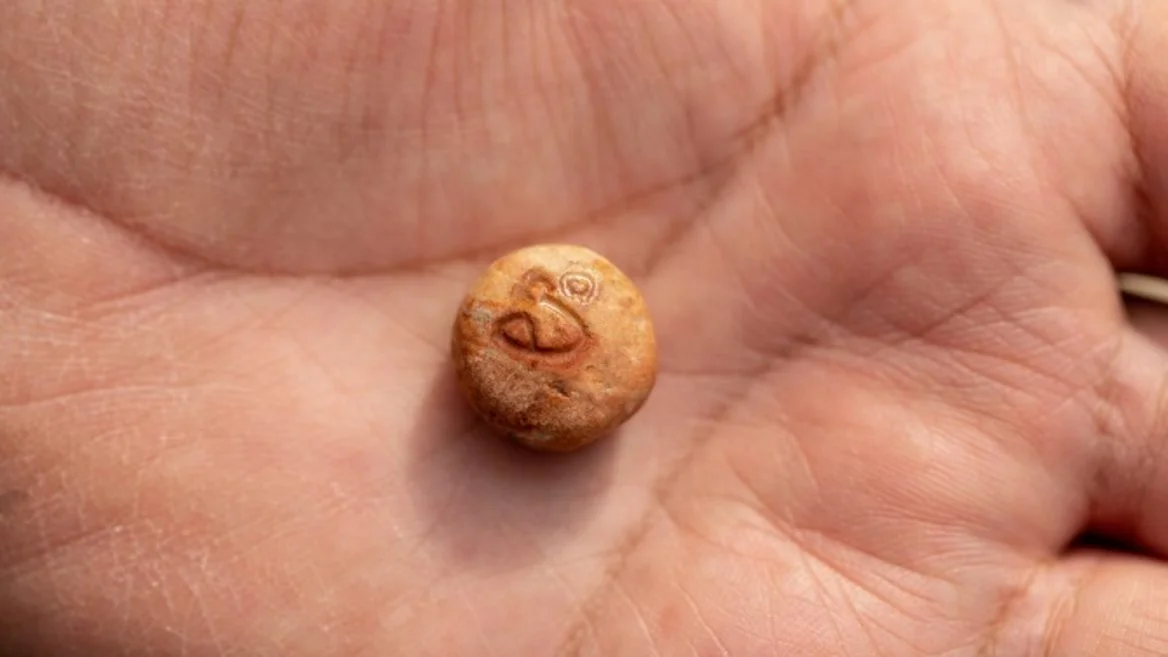 (Photo of the 3,000-year-old beka stone weight by Eliyahu Yanai/City of David)