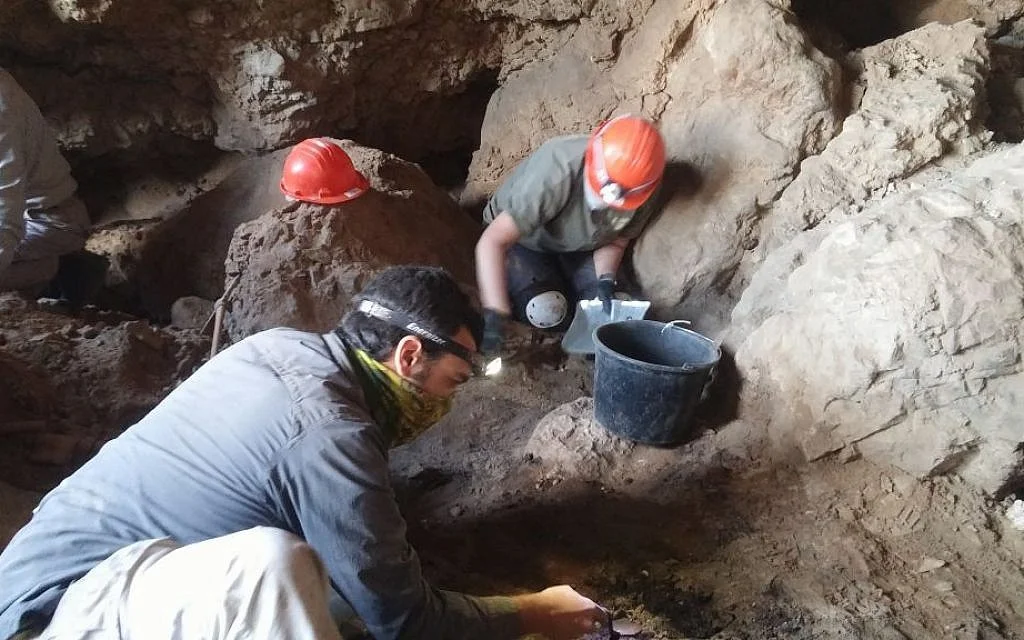 (Photo: Casey L. Olson and Oren Gutfeld, Hebrew University)