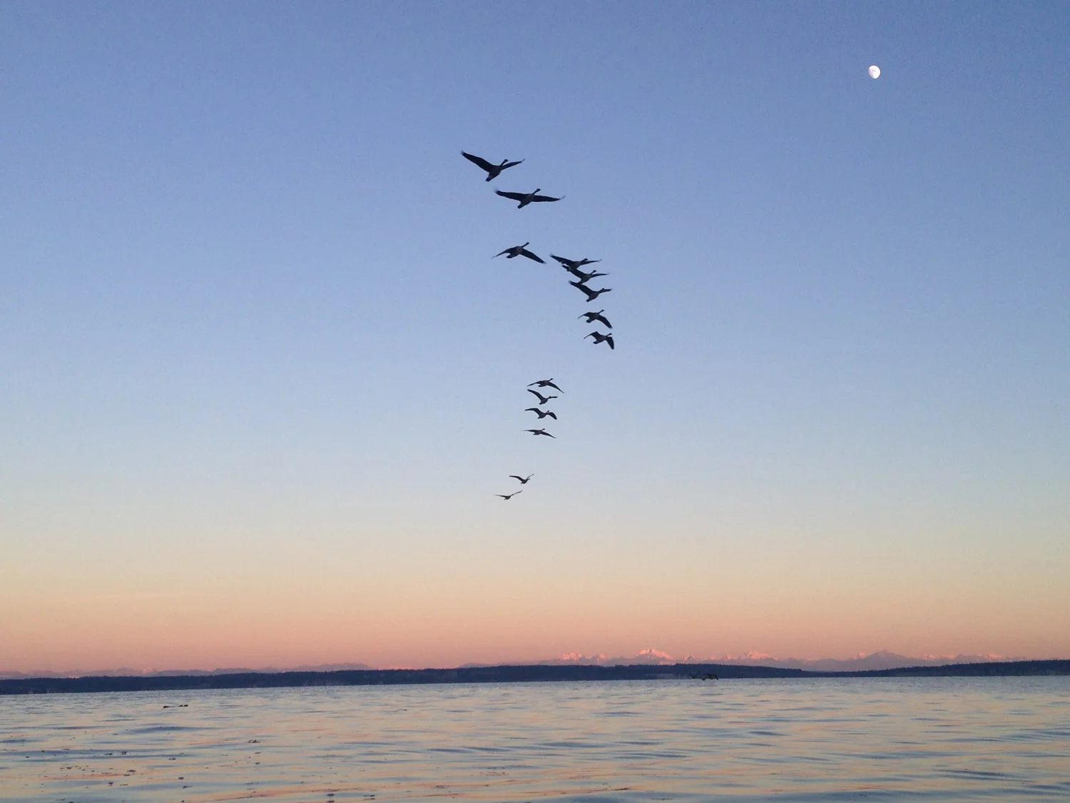 Flight