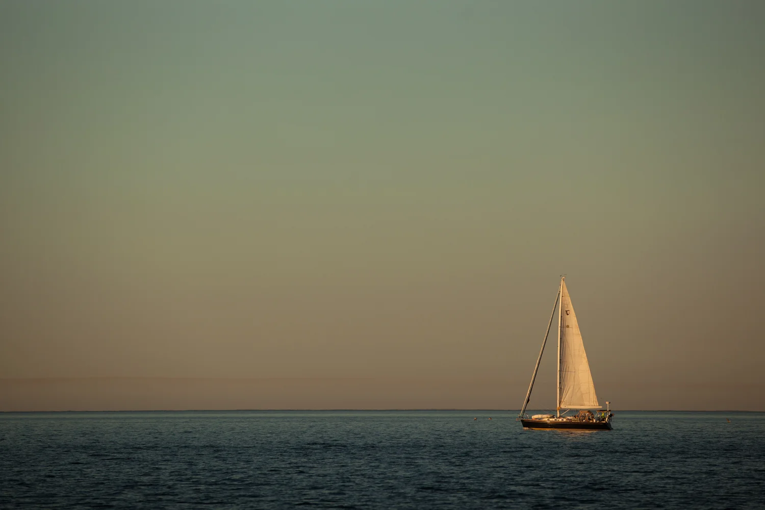 A Tartan yacht makes her way into Bahia Magdalena