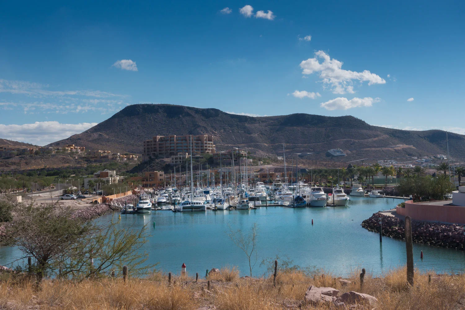 The inner basin at Costa Baja Marina, La Paz 