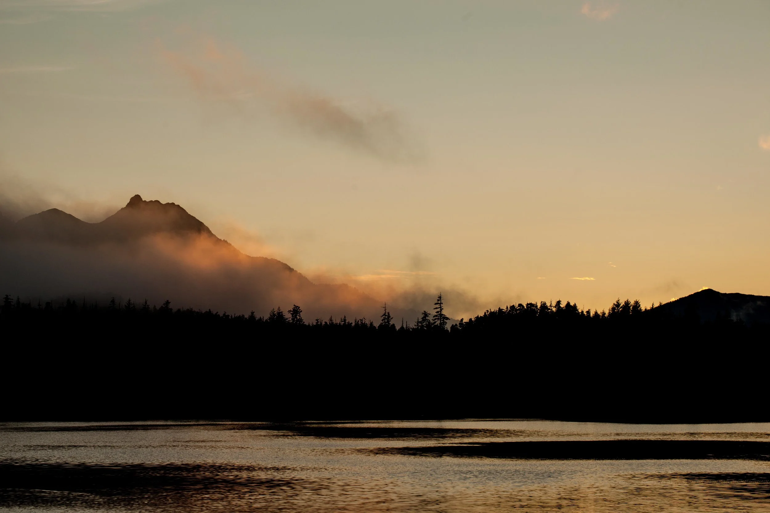_MG_8411.jpg