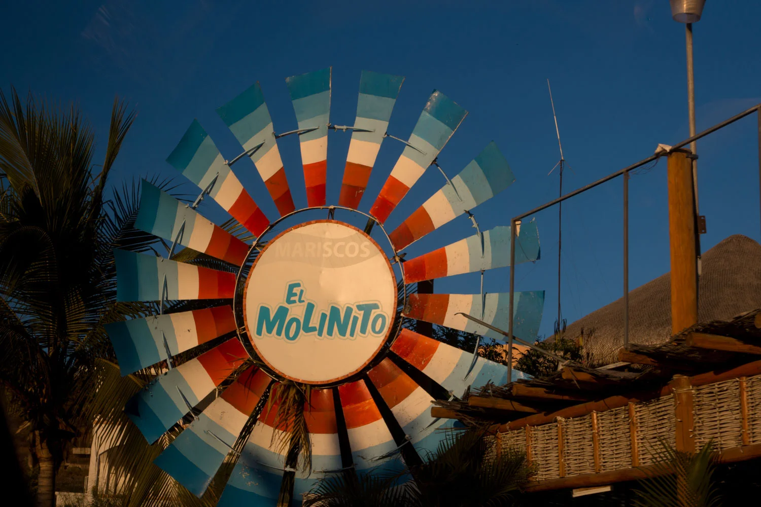 A familiar sight on the road from La Paz to Costa Baja.