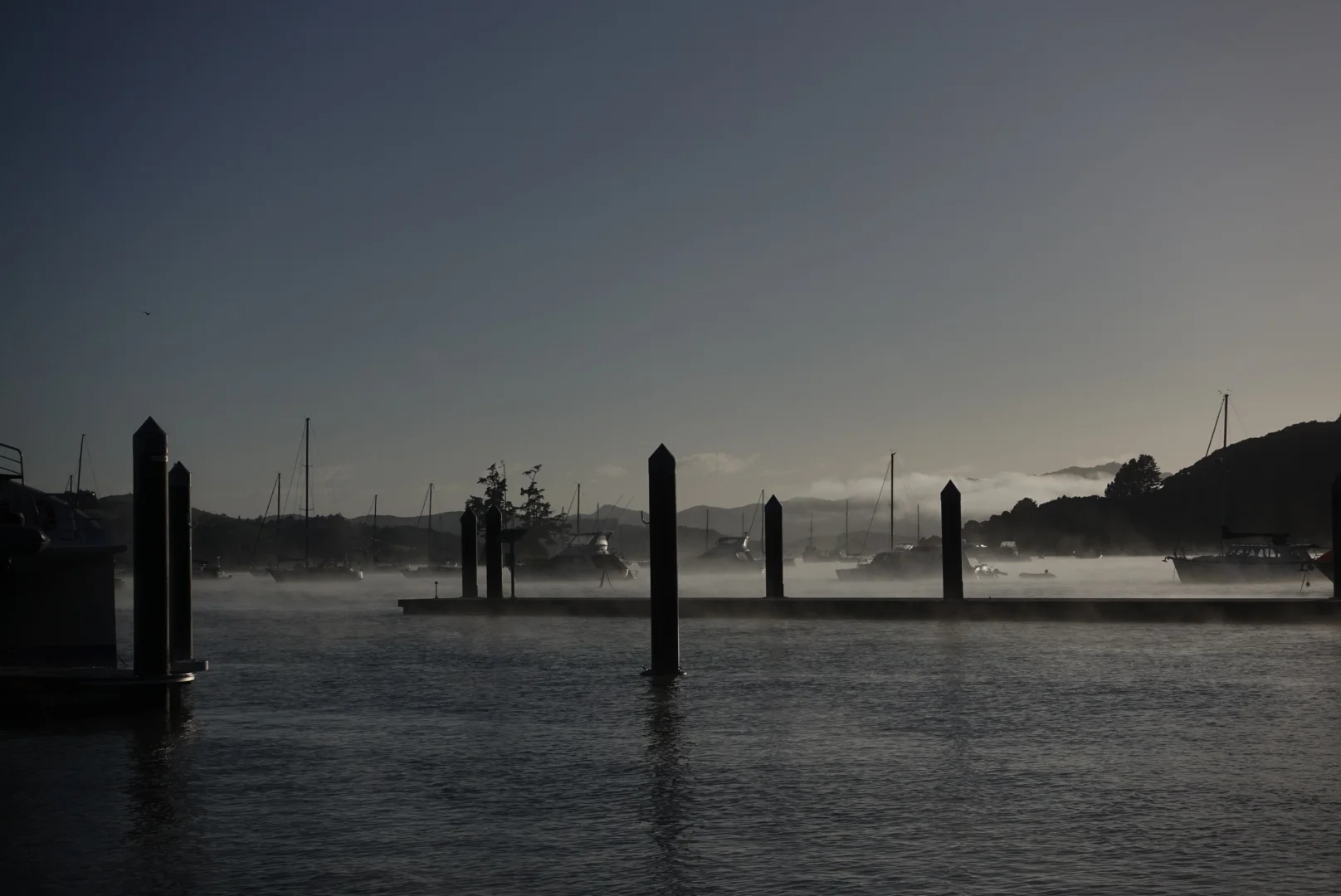 Opua in the morning.