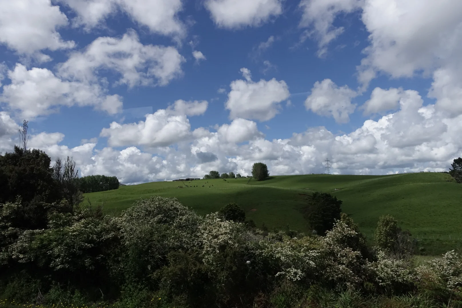 The green, green hills of New Zealand. From our ride into Auckland. 