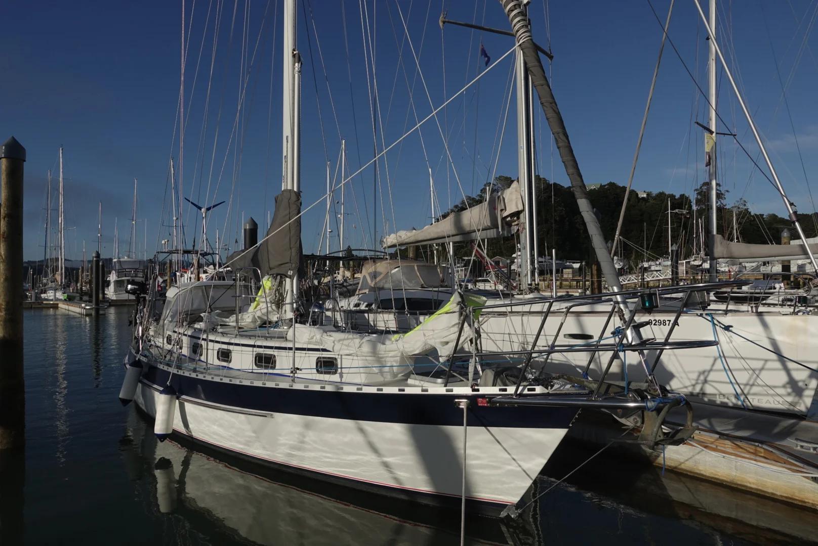 From the day we arrived. The water is mostly very still in the marina with the non-stop crackle of snapping shrimp it's a nice spot to be at rest for a bit. 