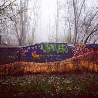 Views from my run along the tow path.