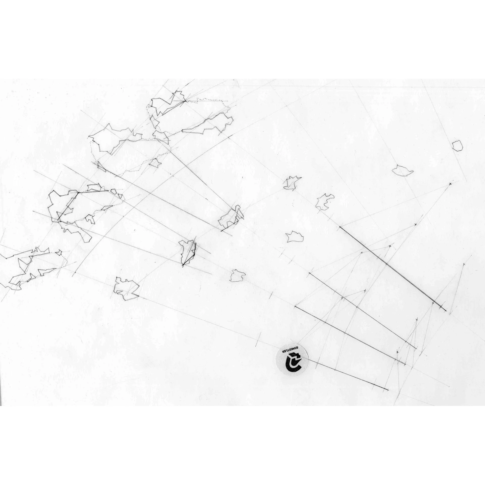 camina/walk (study)