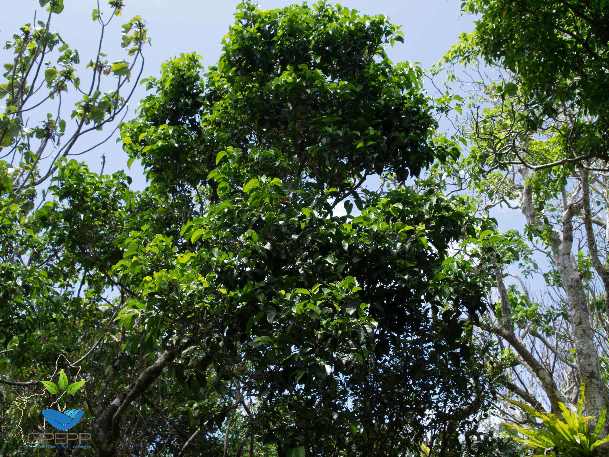 P1030441.jpg