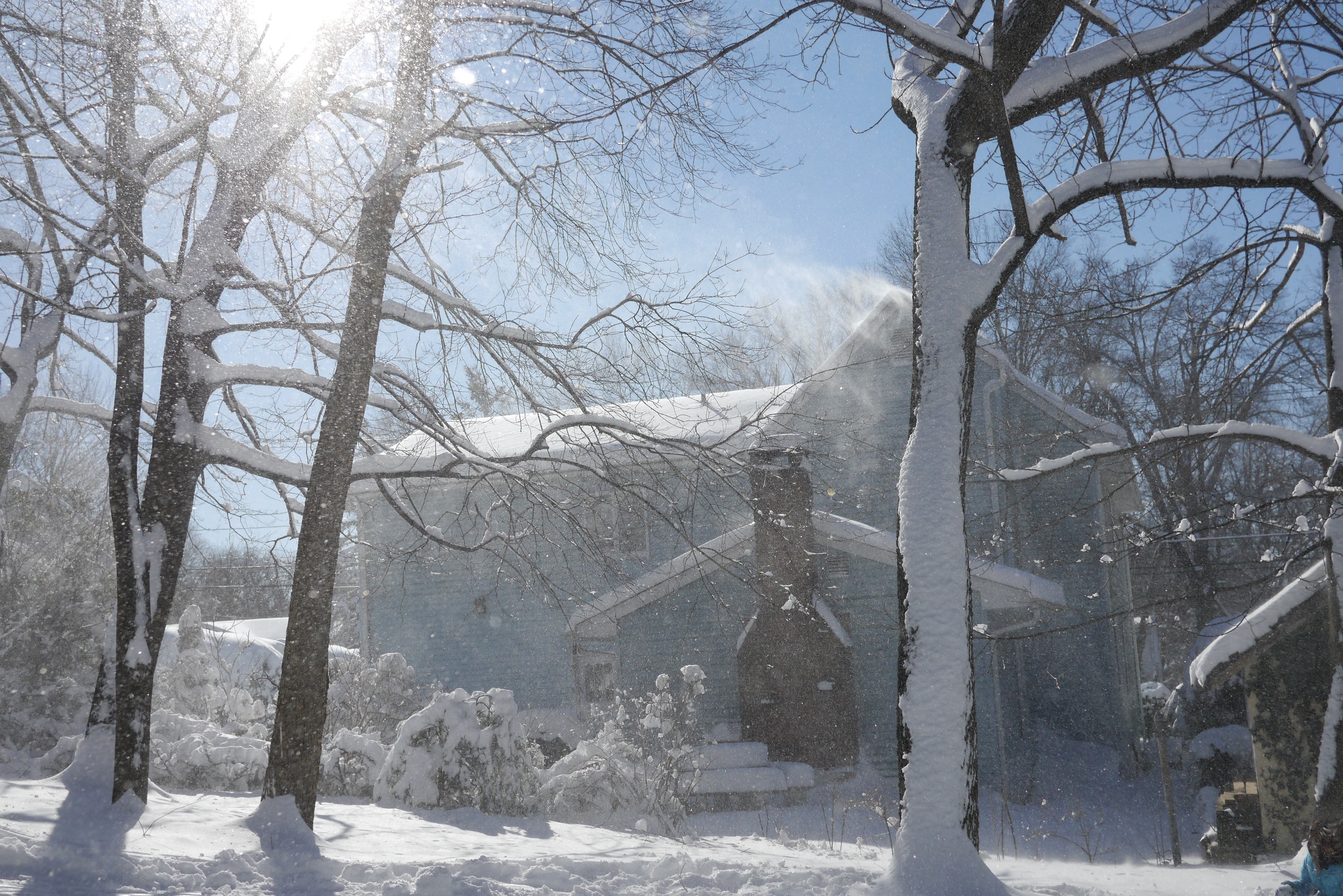 snowblizzard.jpg