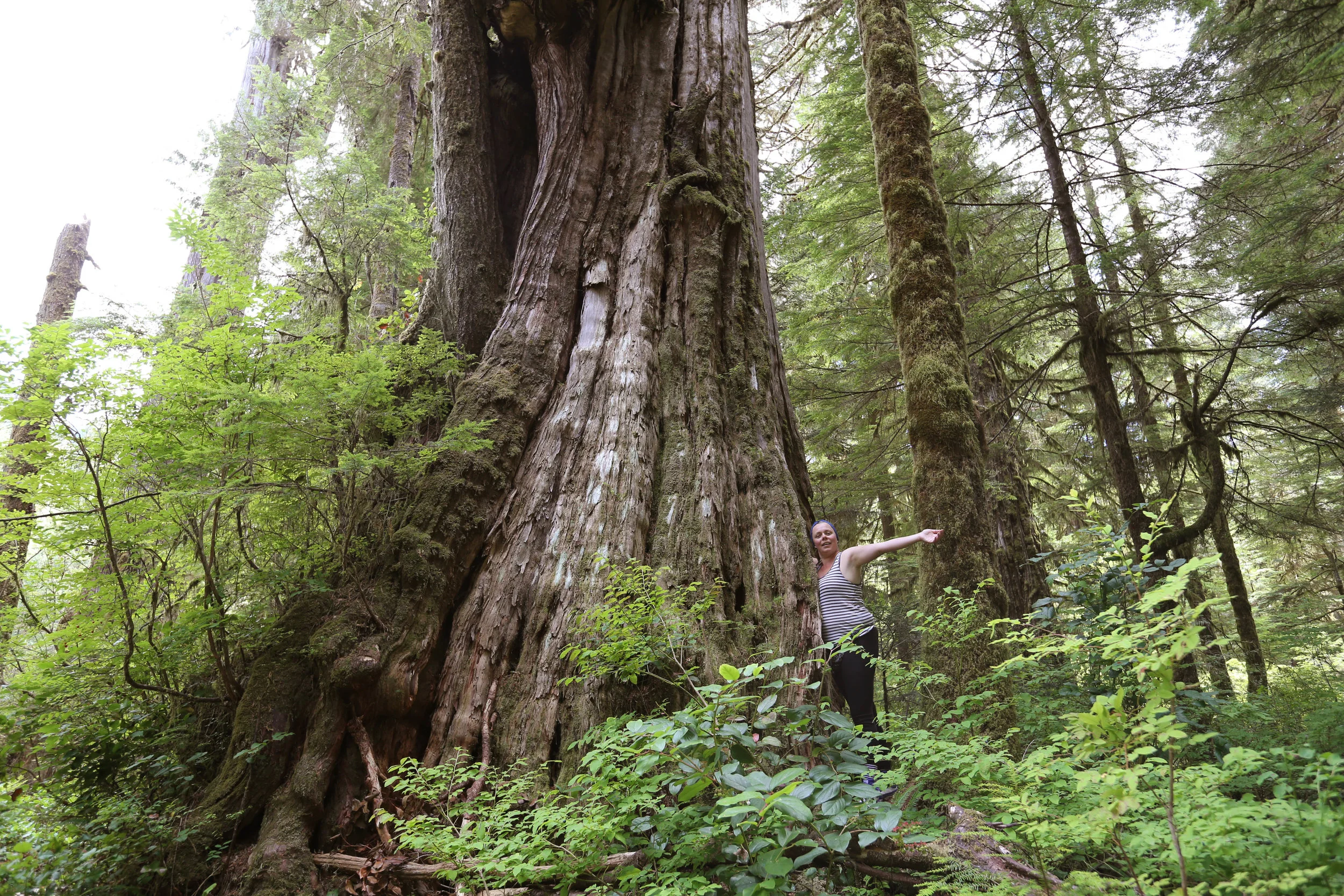 The Tolkien Giant, Kax:iks, July 2016