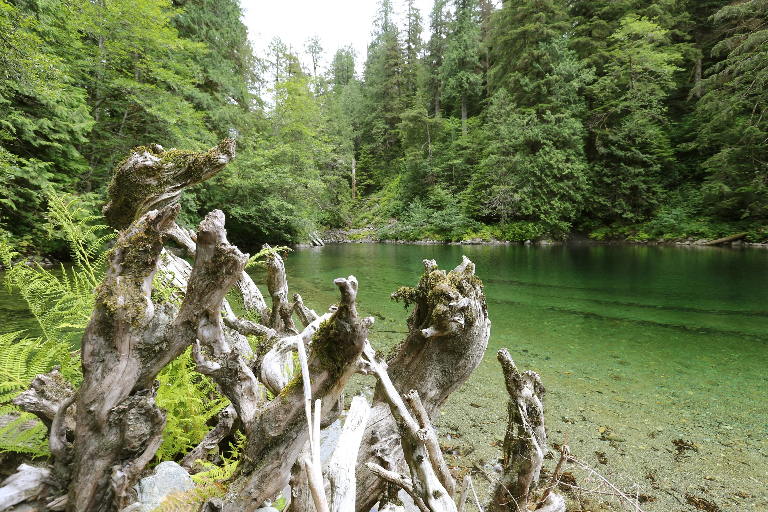 The Emerald Pool in the heart of Kax:iks, July 2016