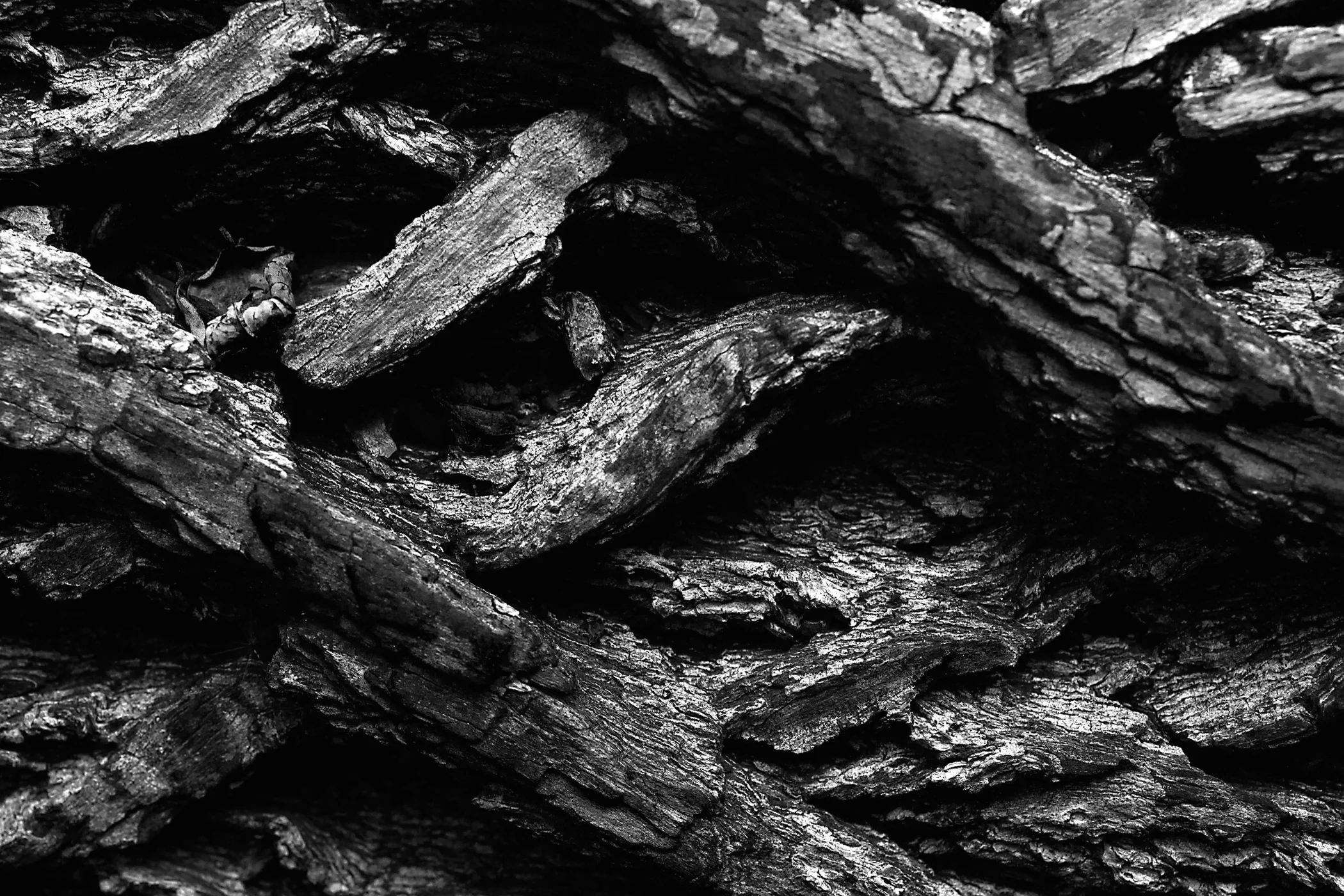 Acosta_D_AIT_Week07_4682 as Smart Object-1.jpg