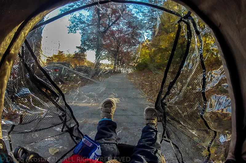 Acosta_D_stroller_05 as Smart Object-1 copy.jpg