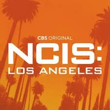ncis- LA.jpeg