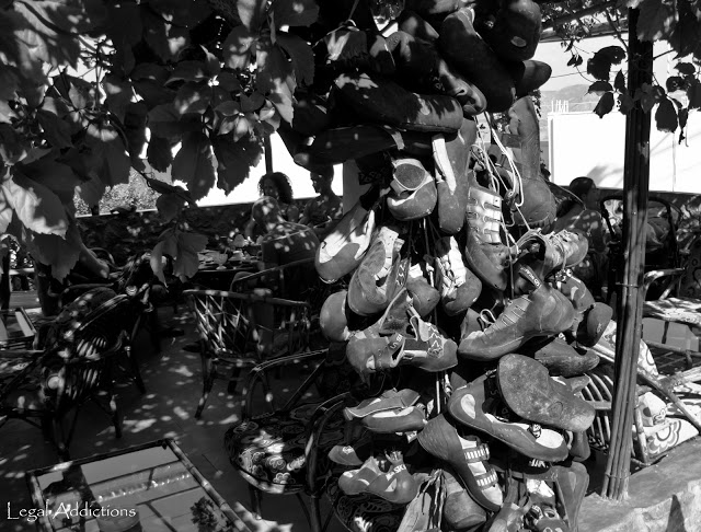 shoe+tree+crop.jpg