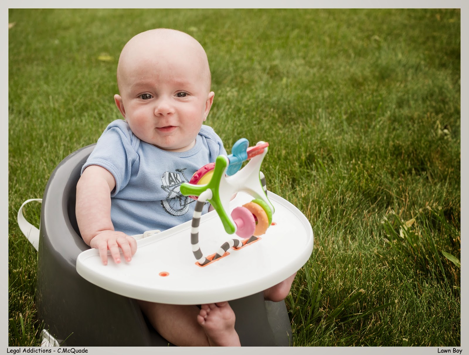 playing+in+the+lawn-20144300.jpg