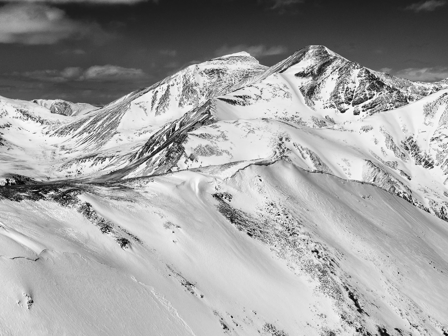 Torreys and Grays