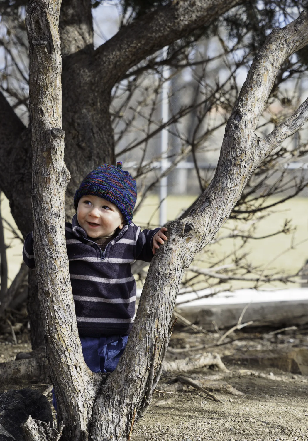 Tree Climber