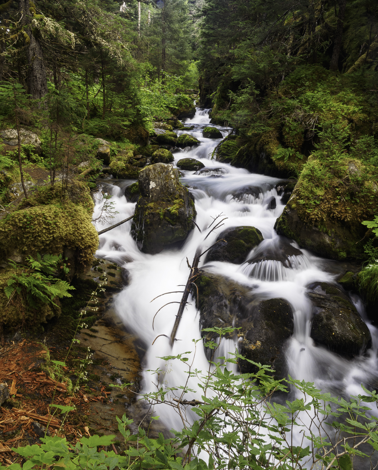 Virgin Creek - Girdwood, AK