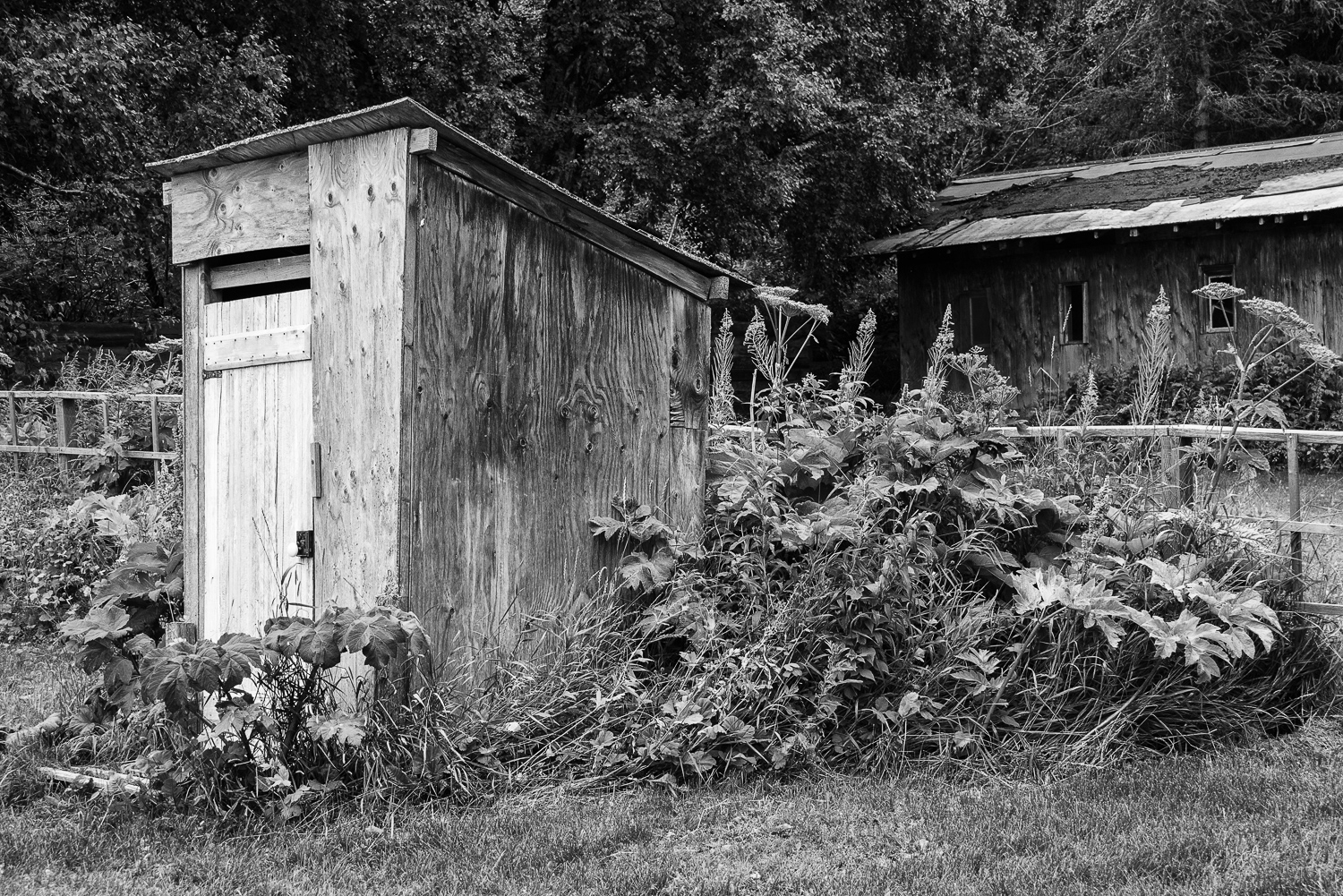 Bachelorette Party Outhouse - Hope, AK