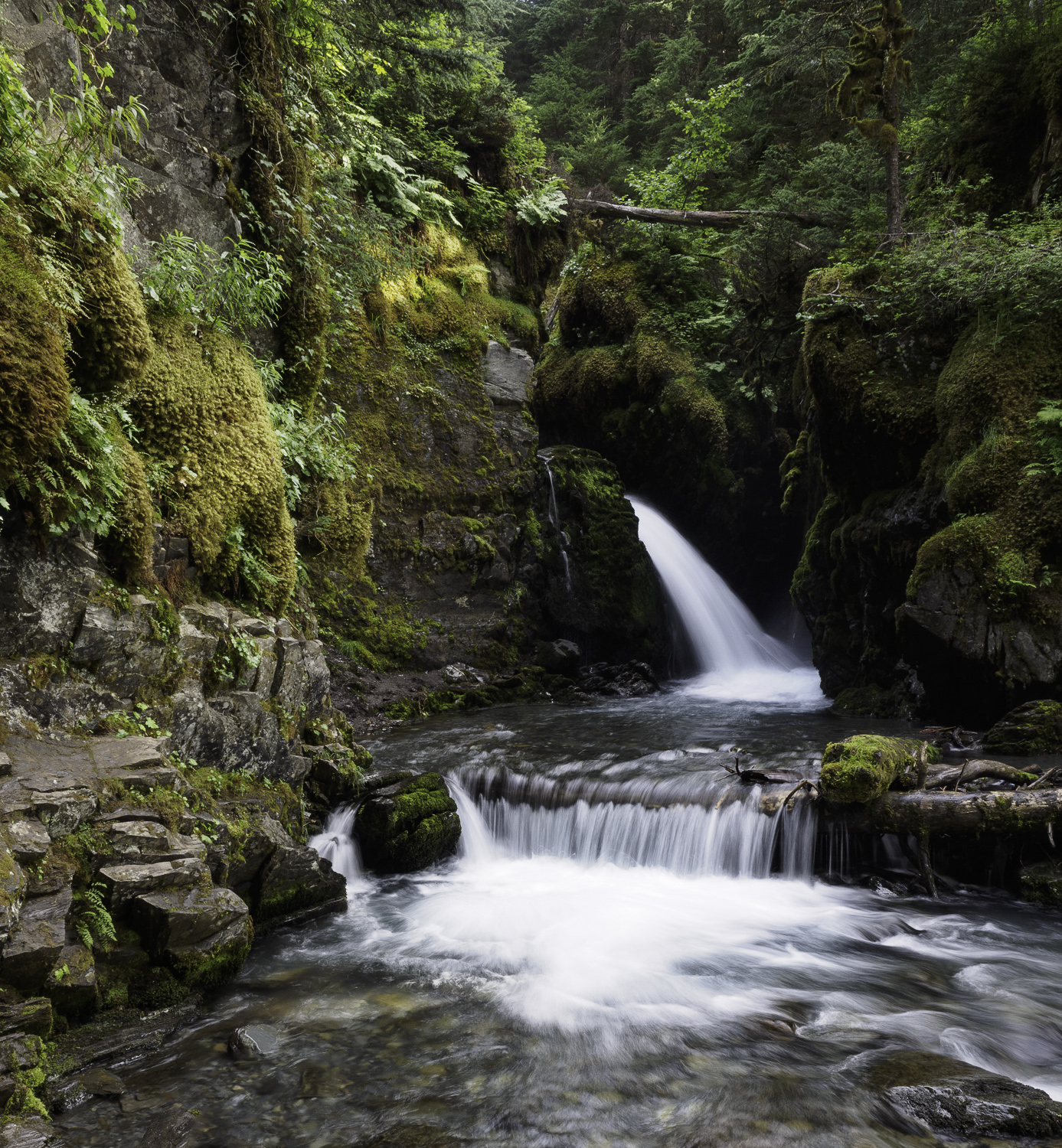 Virgin Creek Falls - Girdwood, AK