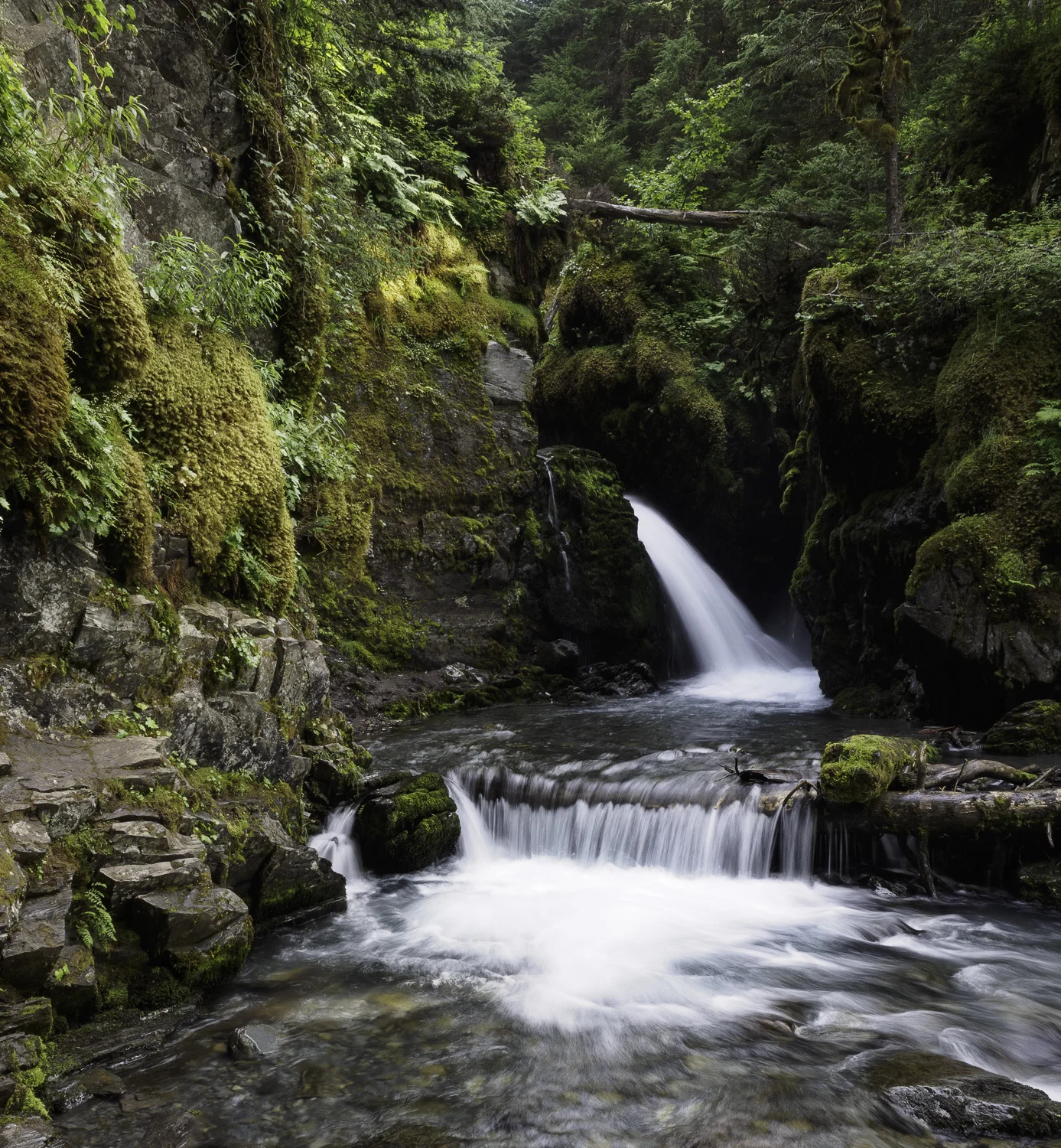 Virgin Creek Falls - Girdwood, AK
