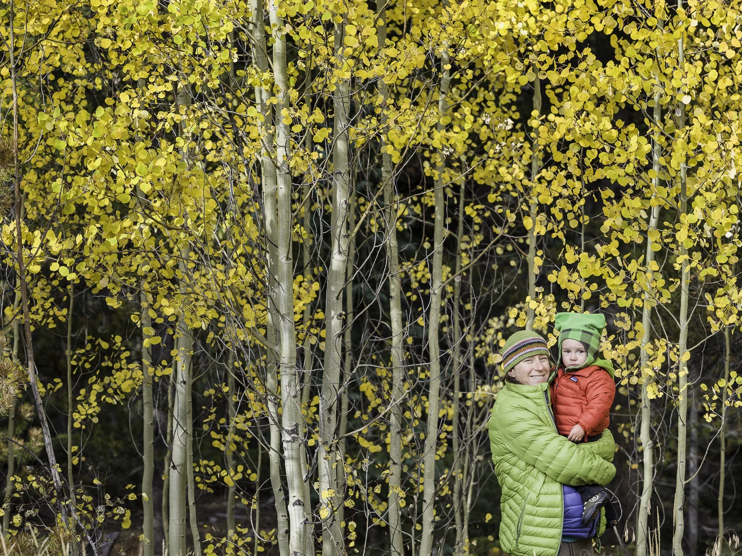 Fall