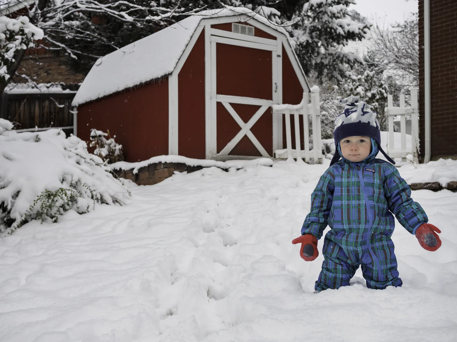 Loves his Snow