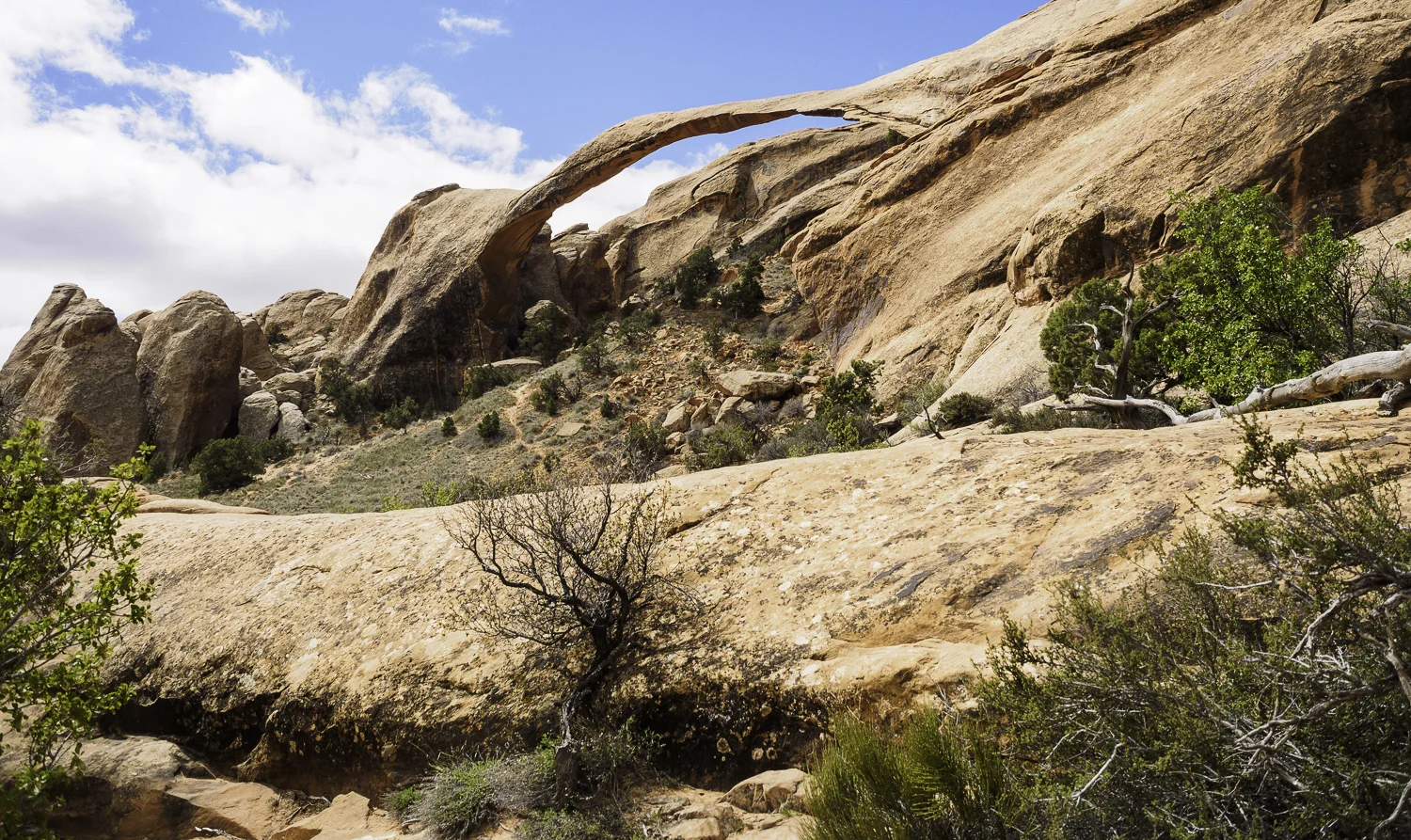 Landscape Arch - Devil's Garden