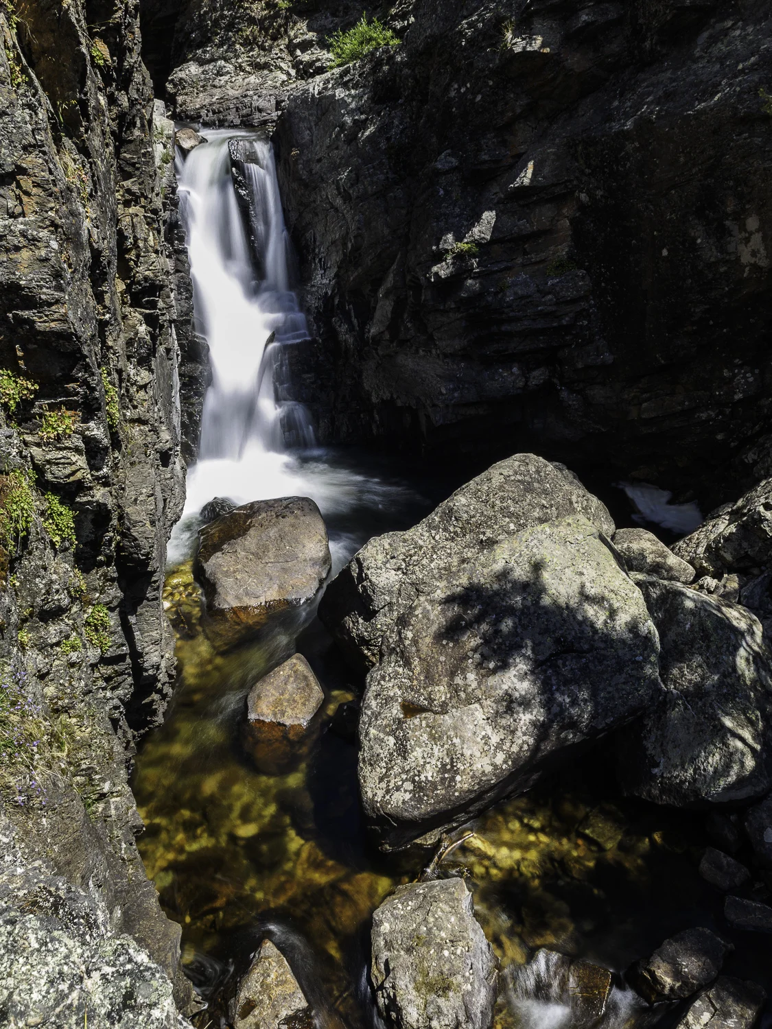 Adam's Falls