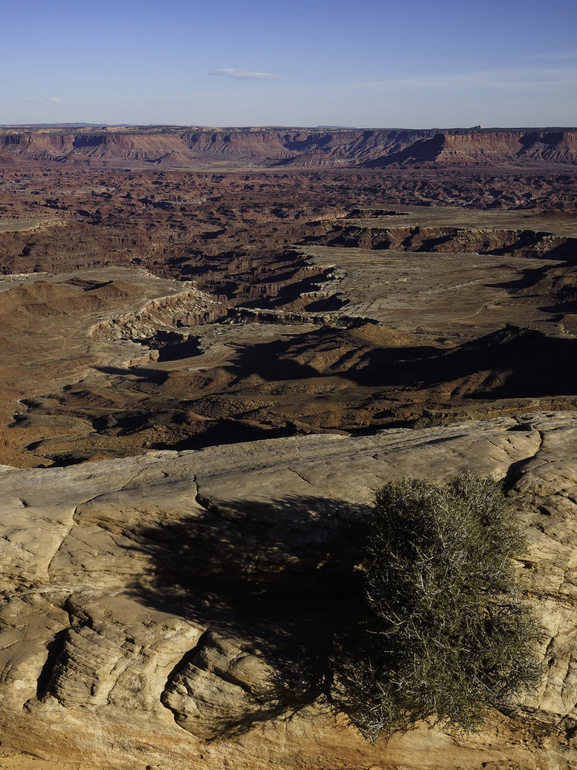 Buck Canyon