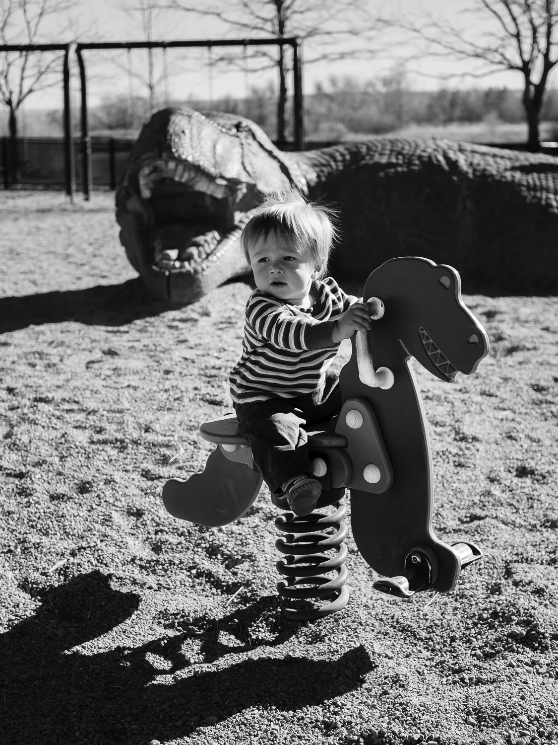 Dino Rider