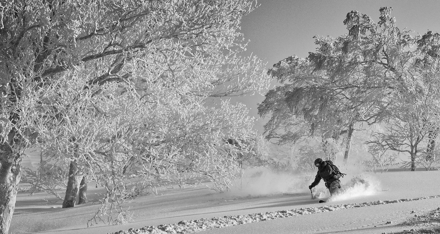 Telemark Maj - Brian