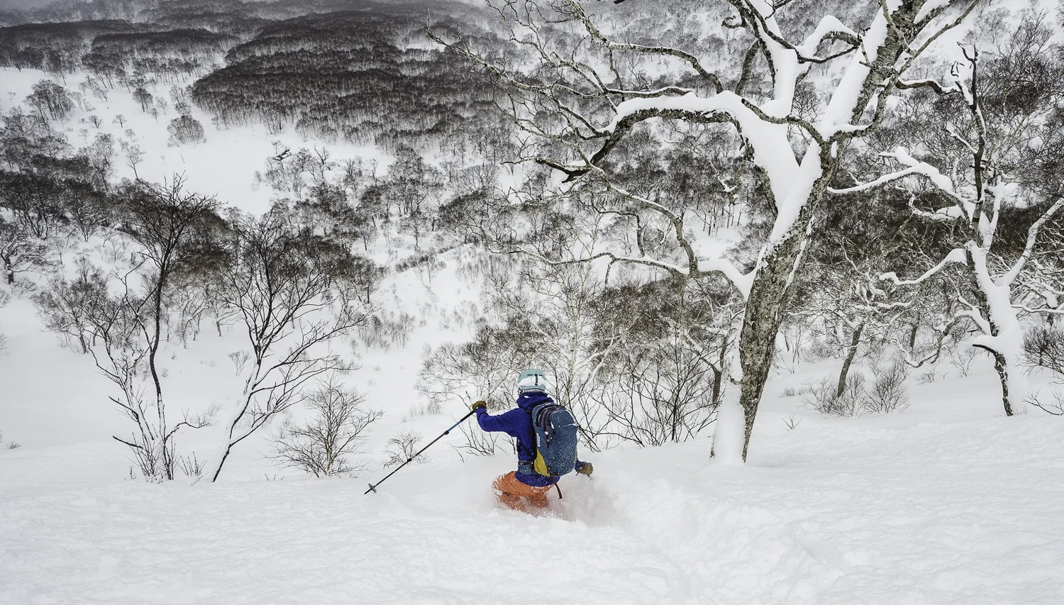 Colleen -&nbsp;Mt.&nbsp;Iwao-nupuri
