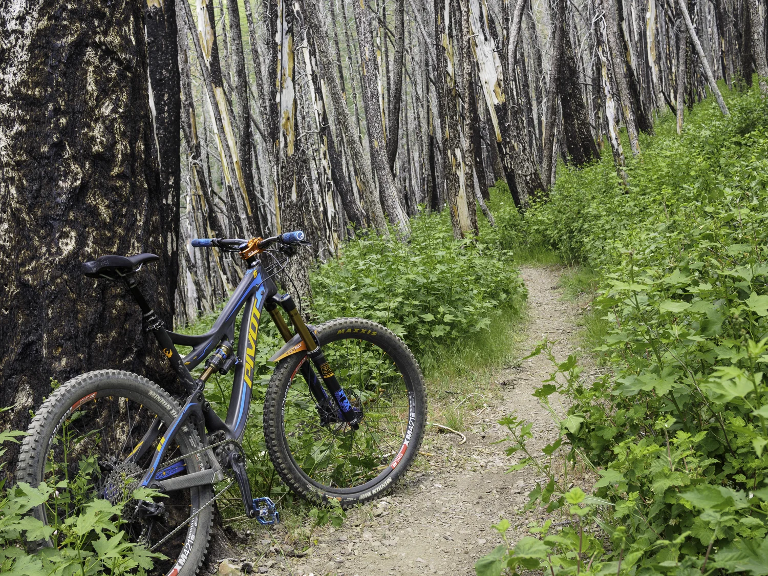 Warm Springs Trail - Sun Valley, ID