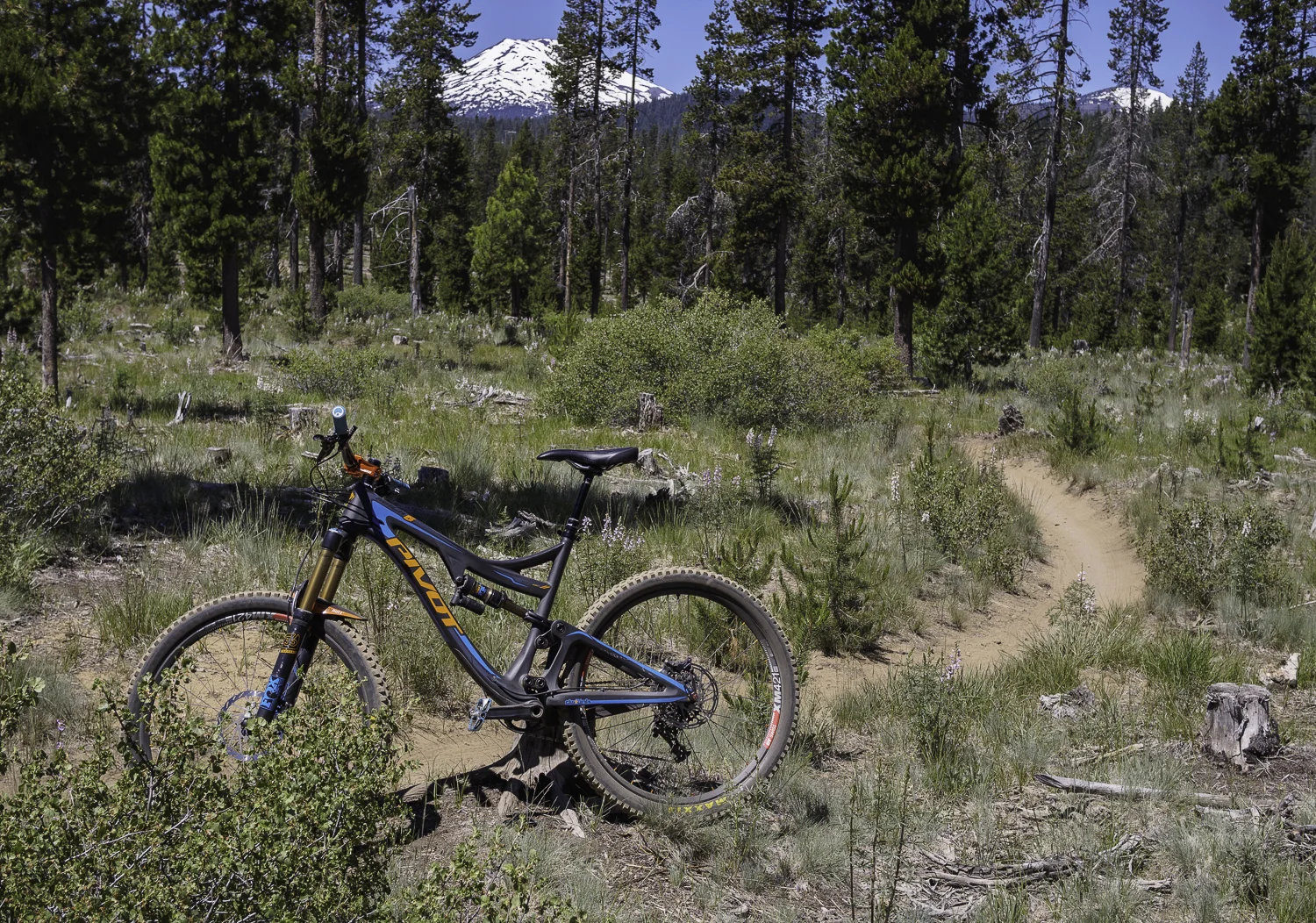Mt Bachelor - Tiddlywinks Trail - Bend, OR