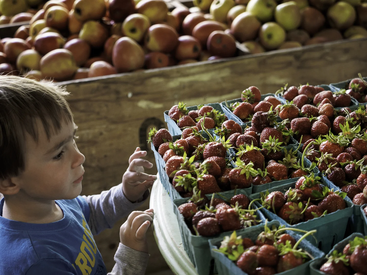 Strawberries - Fruit Stand