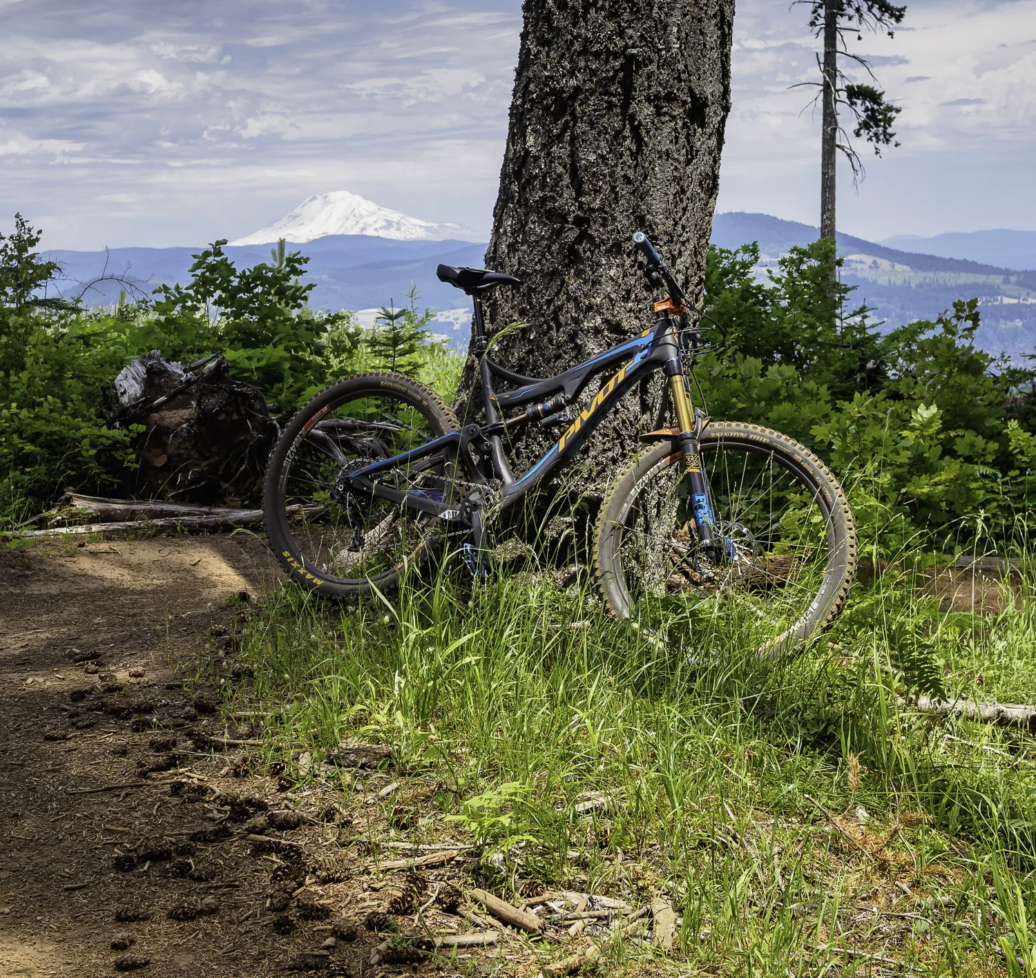 Mt Adams - 8 Track Trail - Hood River, OR