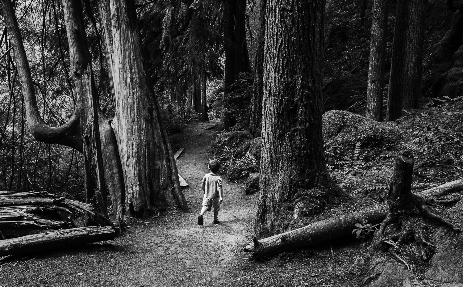 Where the Wild Things Are -&nbsp;Umpqua National Forest, OR
