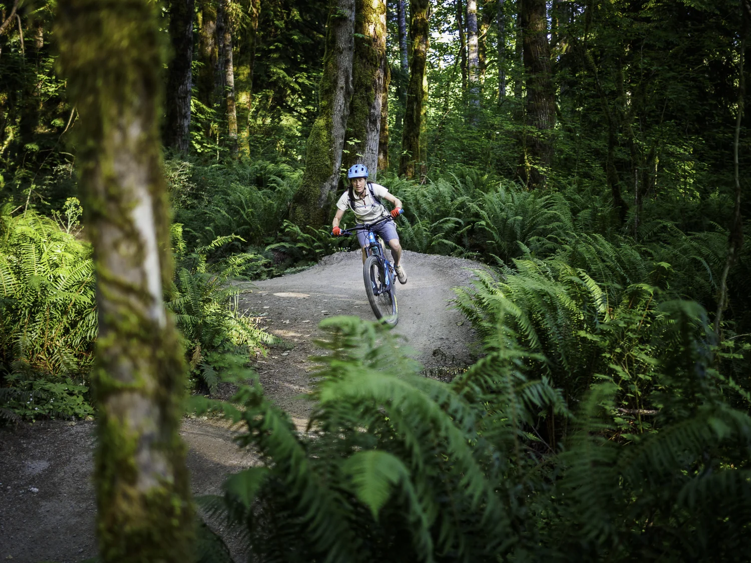Hide and Seek Trail - Sandy Ridge, OR