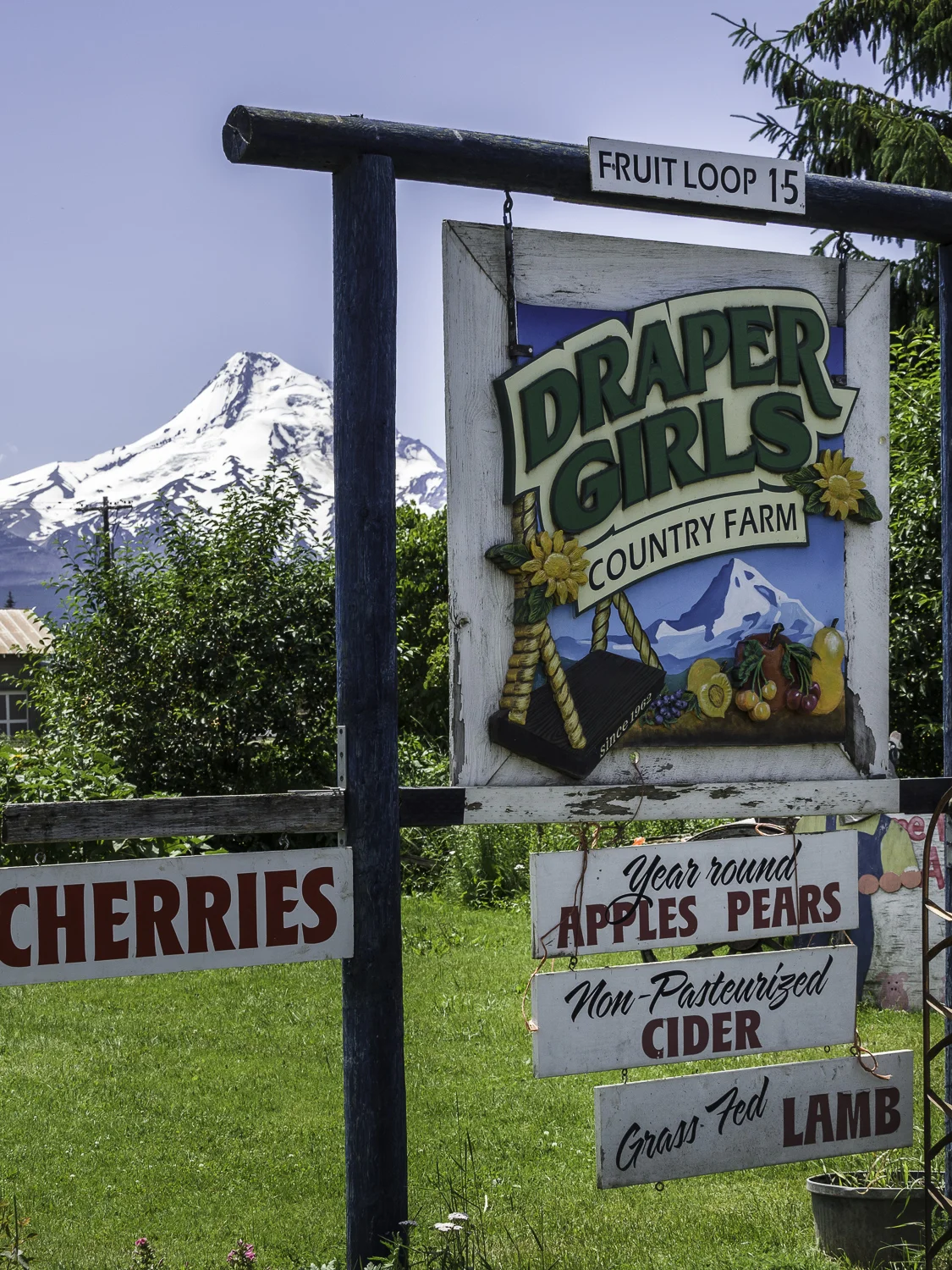 Draper Girls - Mt Hood, OR