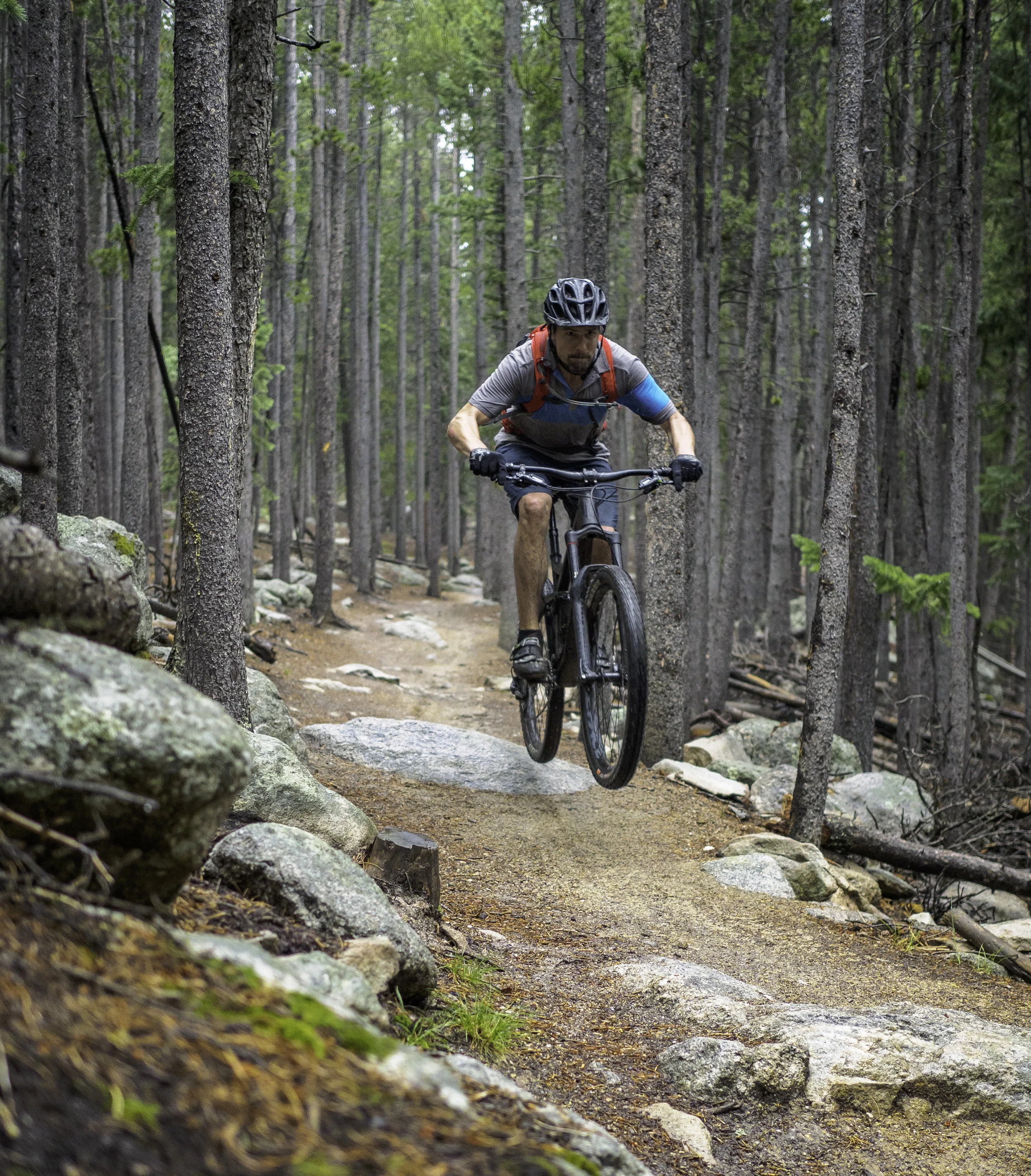 Mule Deer Trail - Golden Gate Canyon, CO