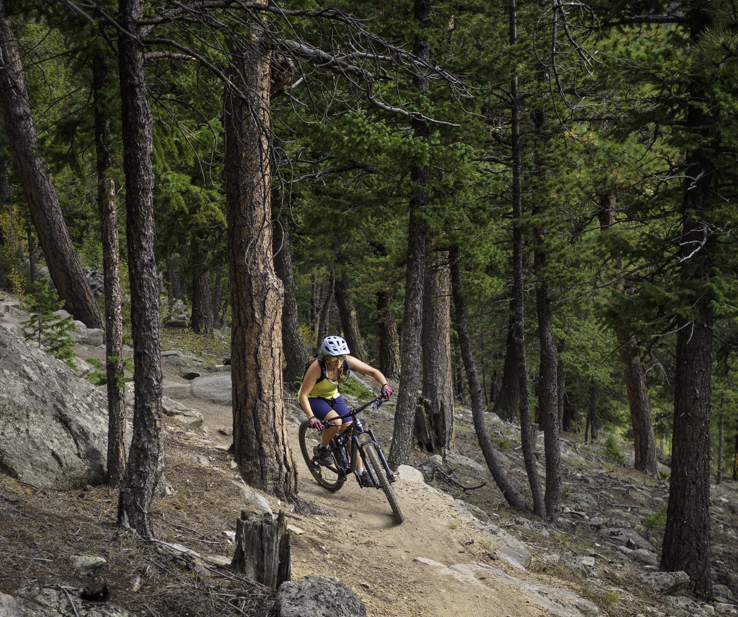 Mule Deer Trail - Golden Gate Canyon, CO