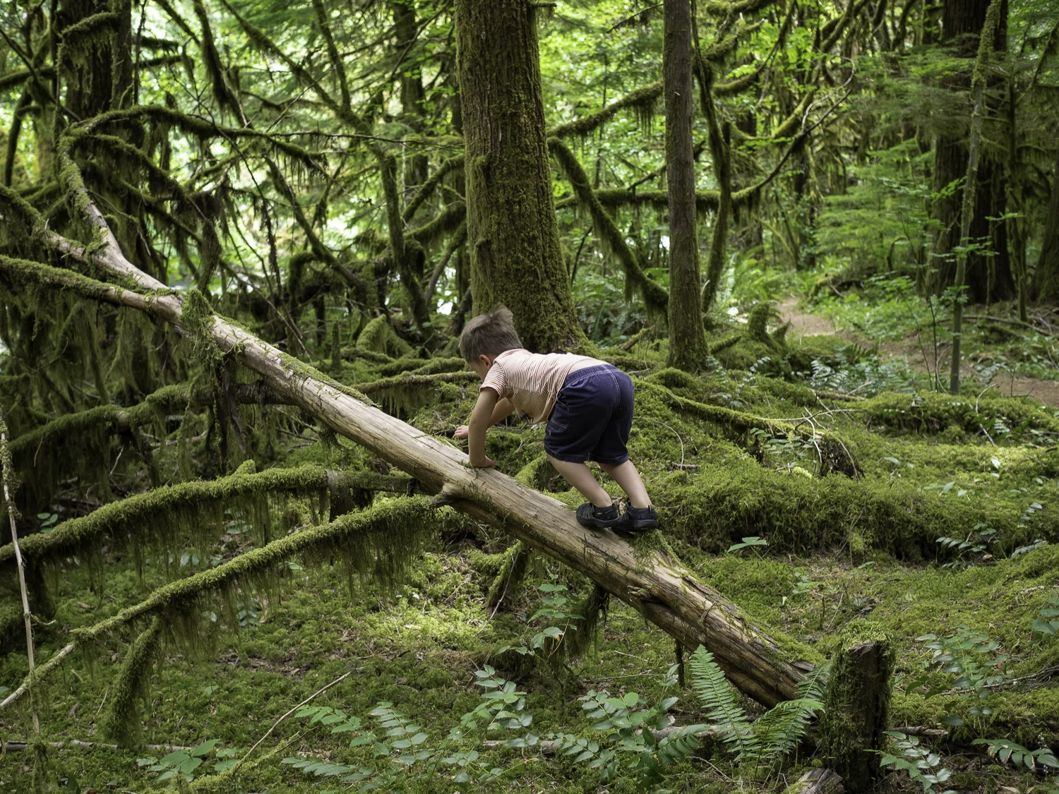 Exploring