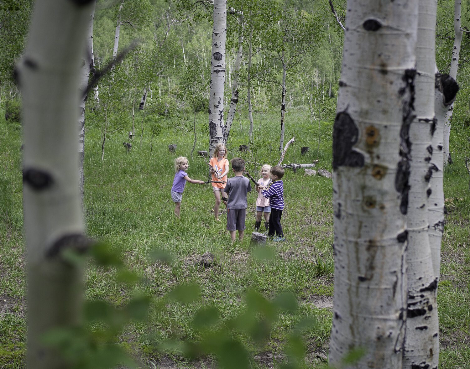 Camping with Friends