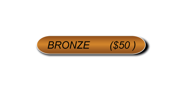 Bronze Sponsorship (No check).png